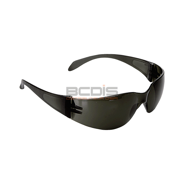 Lunettes de protection 590 (1)