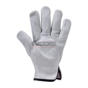 Gant de maîtrise en cuir EUROSTRONG 222 (1)